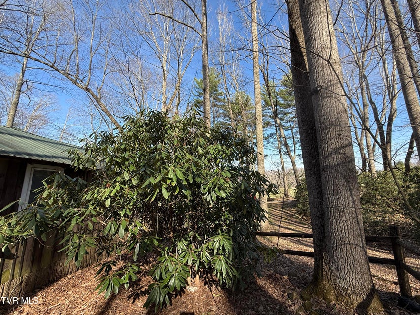 Photo #8: 1770 Red Brush Road