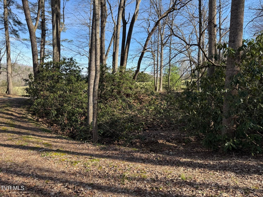 Photo #15: 1770 Red Brush Road