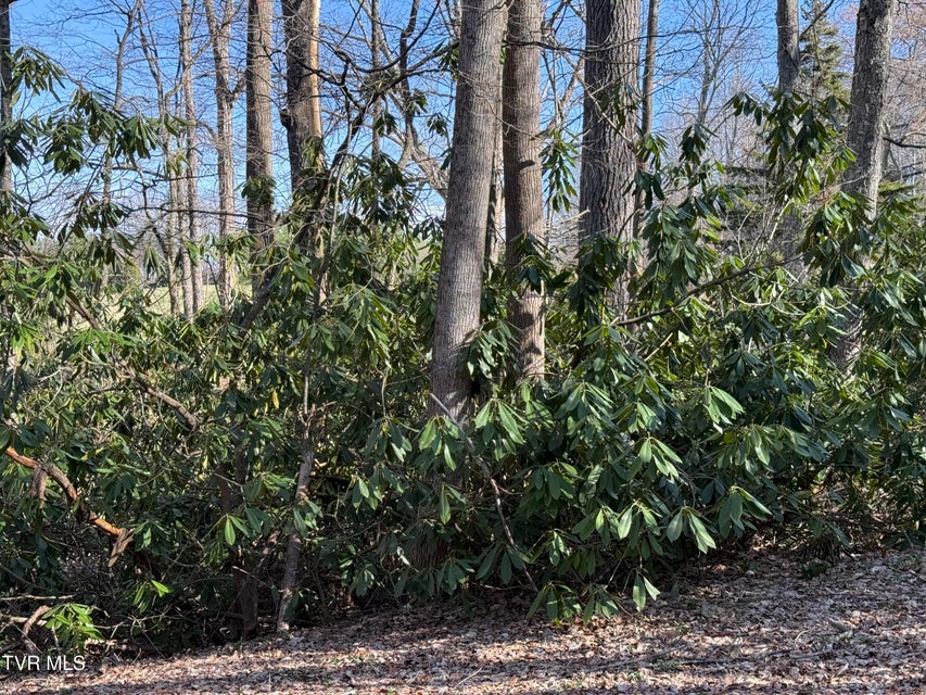 Photo #14: 1770 Red Brush Road