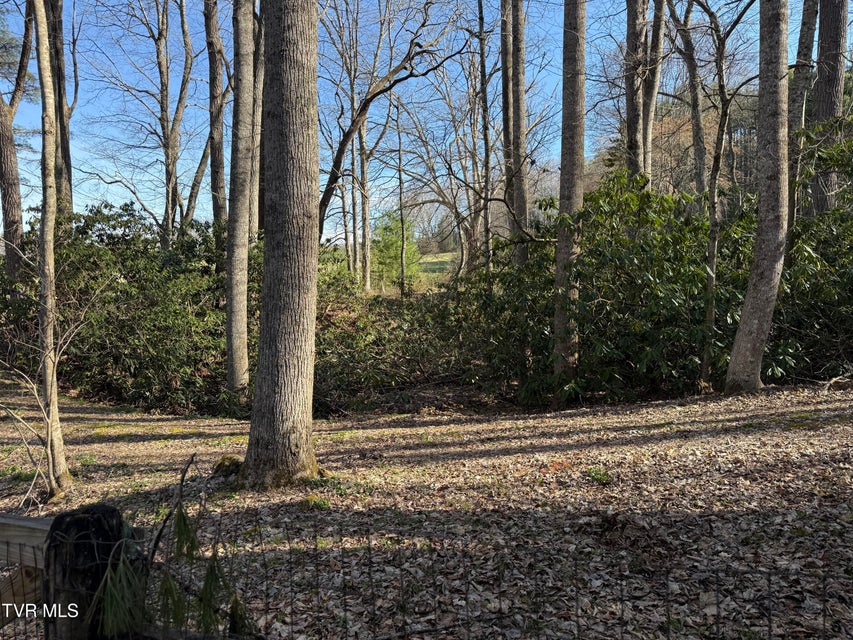 Photo #13: 1770 Red Brush Road