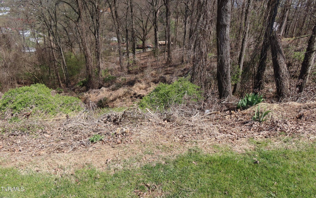 Photo #4: Tbd Clara Drive