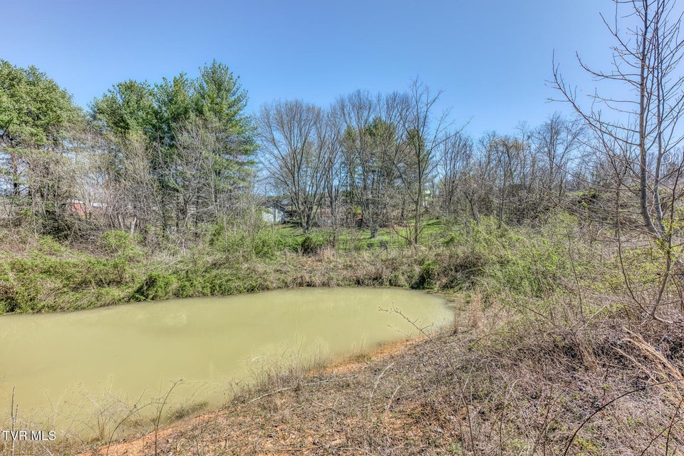 Photo #13: 145 Claude Simmons Road