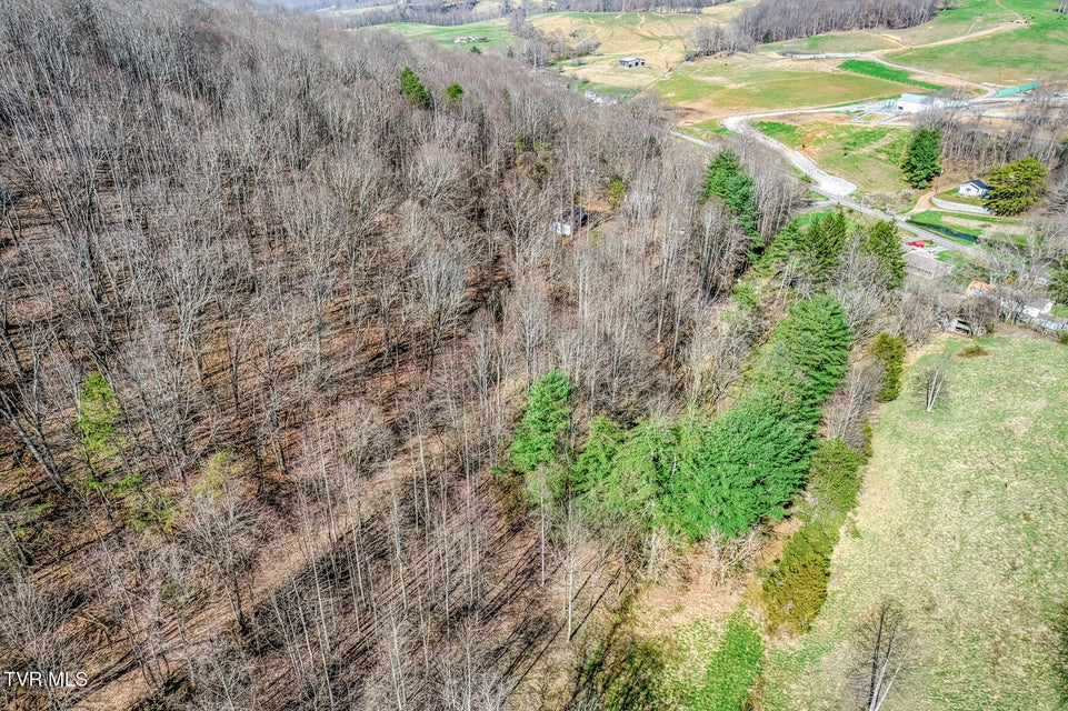 Photo #21: 1424 Reedy Creek Road