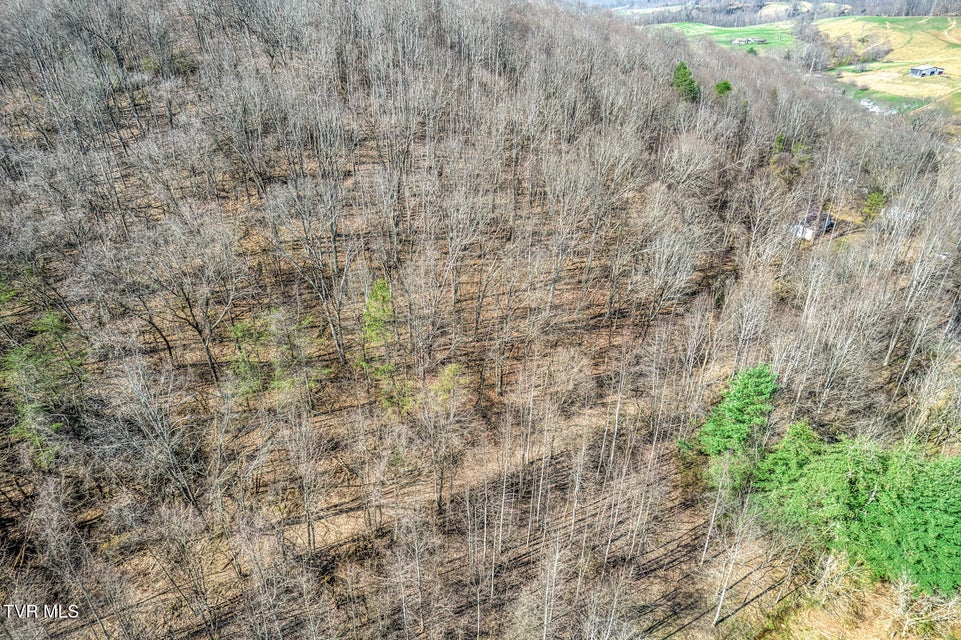 Photo #22: 1424 Reedy Creek Road