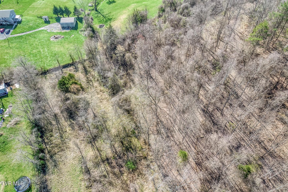 Photo #25: 1424 Reedy Creek Road