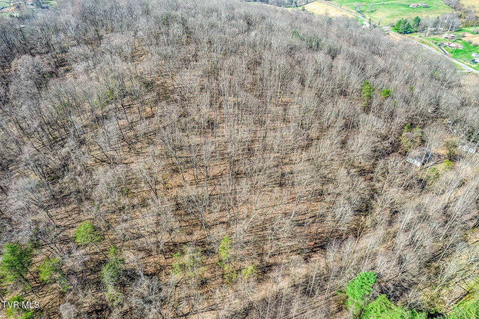 Photo #26: 1424 Reedy Creek Road