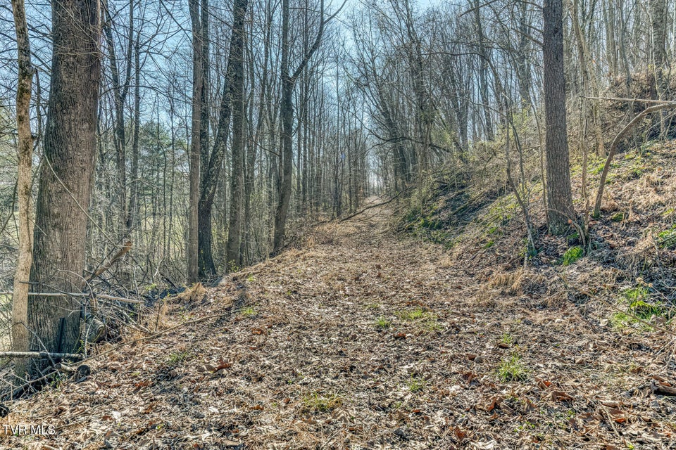 Photo #40: 1424 Reedy Creek Road