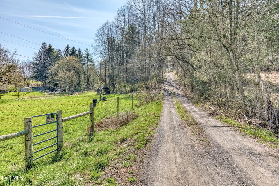 Photo #42: 1424 Reedy Creek Road