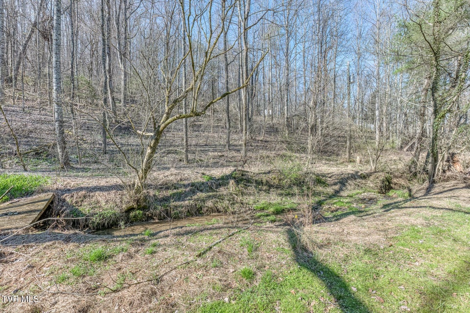 Photo #53: 1424 Reedy Creek Road