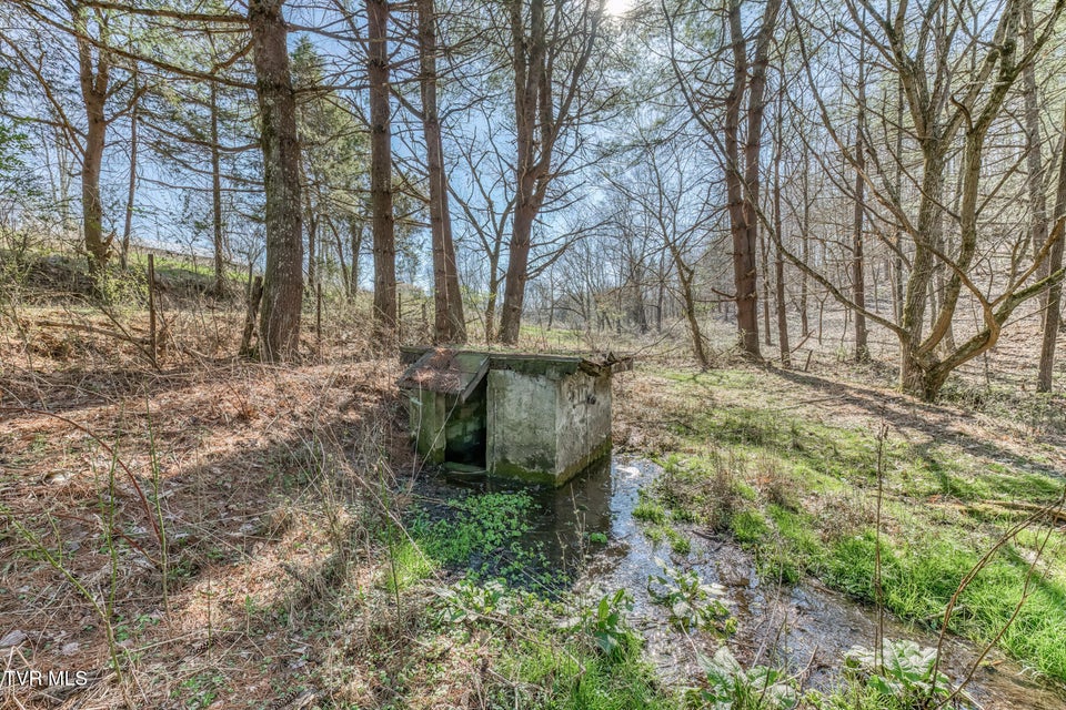 Photo #55: 1424 Reedy Creek Road