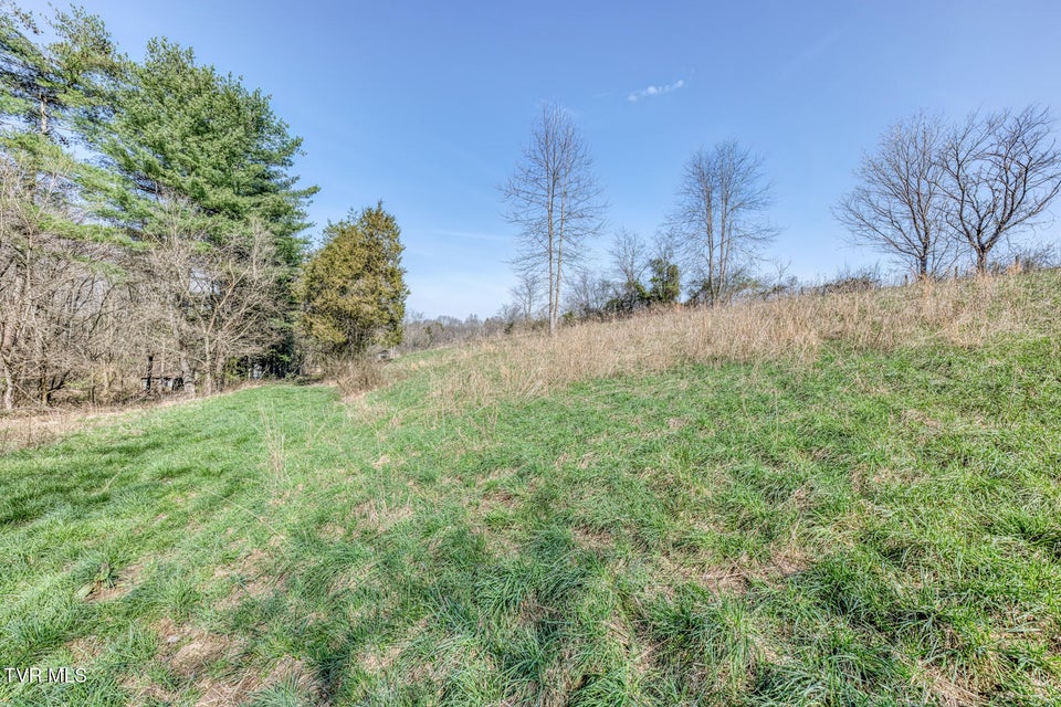 Photo #60: 1424 Reedy Creek Road