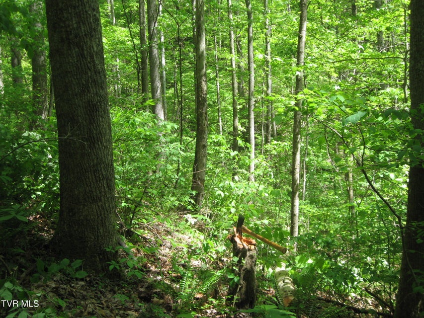 Photo #36: 1795 Bear Hollow Road