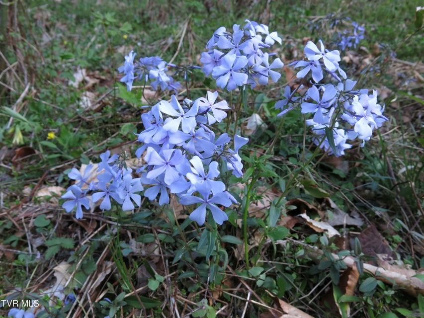 Photo #39: 1795 Bear Hollow Road