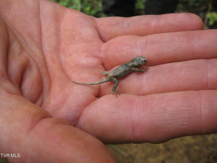 Photo #40: 1795 Bear Hollow Road