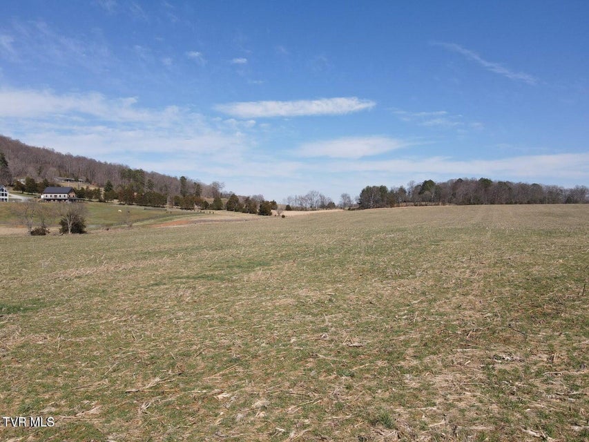 Photo #3: Tbd Lot 4 River Village Ln 