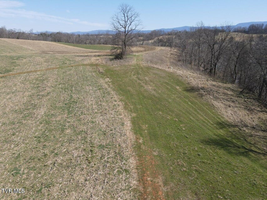 Photo #11: Tbd Lot 4 River Village Ln 