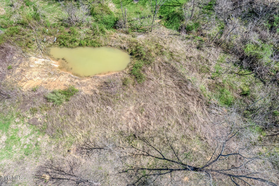 Photo #17: 145 Claude Simmons Road