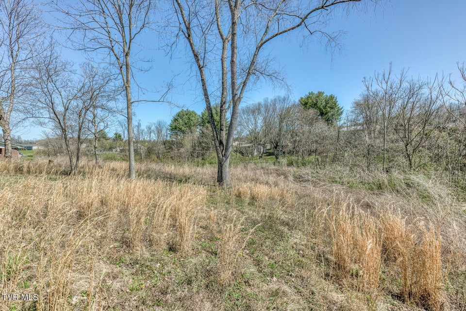 Photo #14: 145 Claude Simmons Road