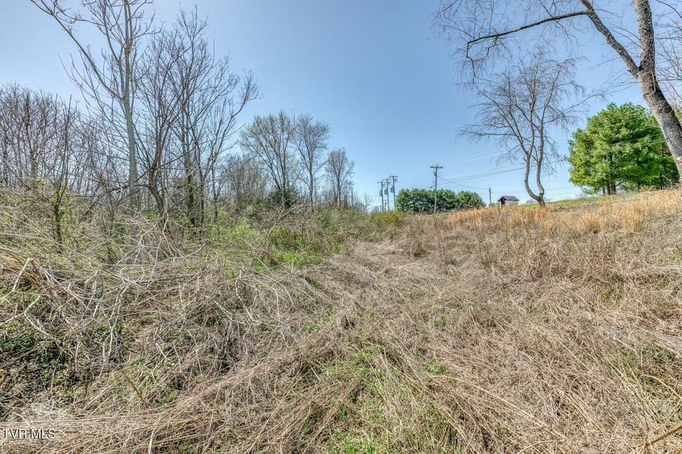 Photo #16: 145 Claude Simmons Road