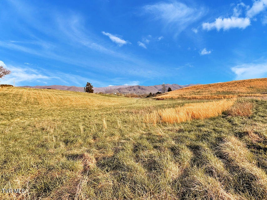 Photo #10: 356 Laws Road