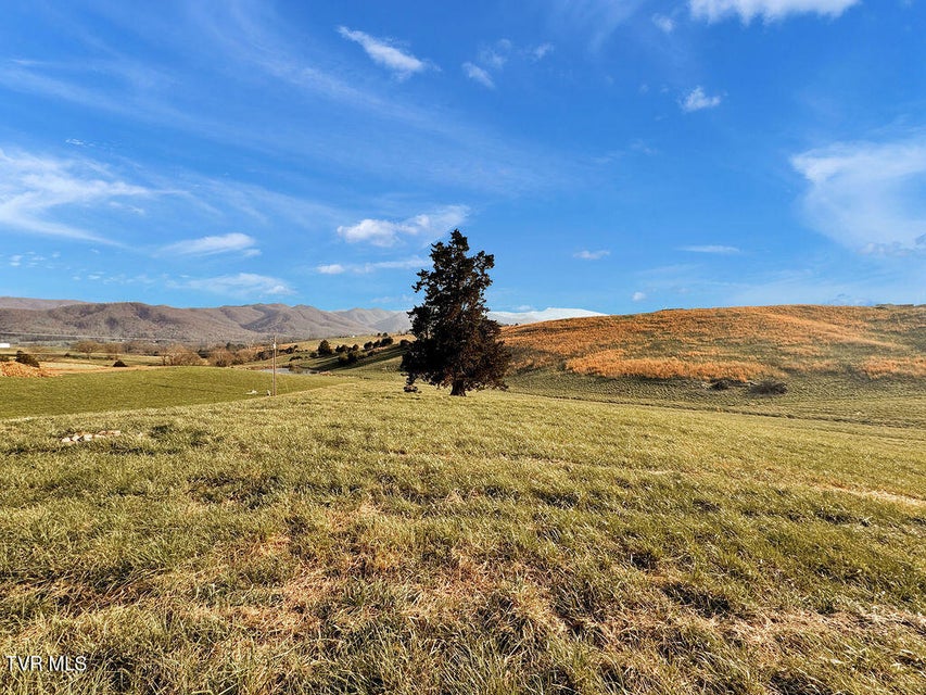 Photo #12: 356 Laws Road