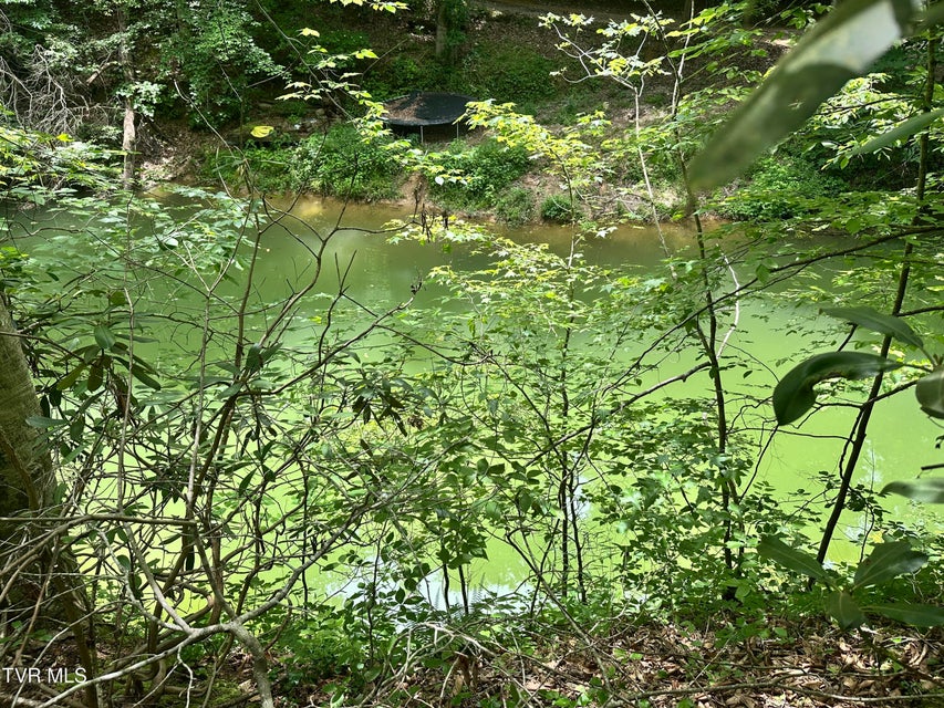 Photo #4: 8 Woods Ridge Road