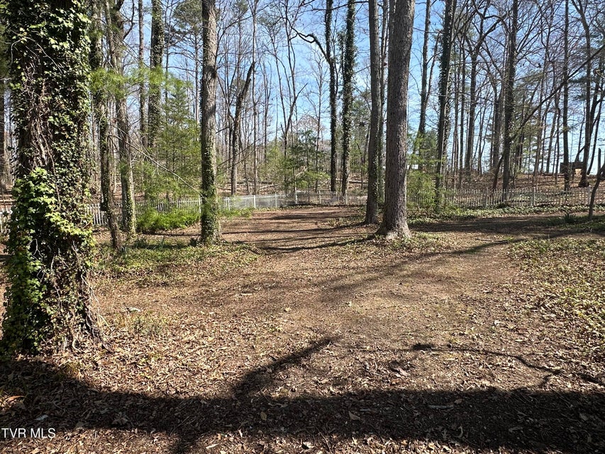 Photo #42: 6800 Allens Bridge Road