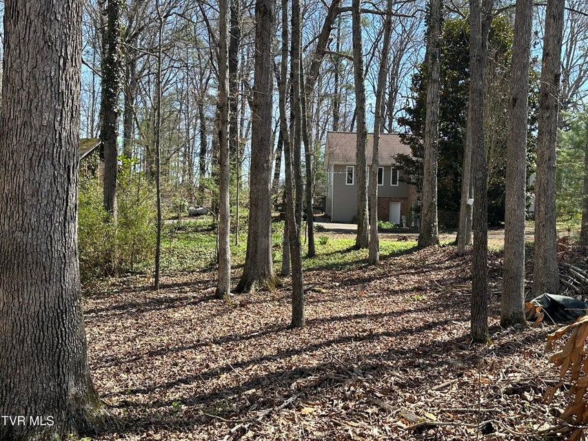 Photo #43: 6800 Allens Bridge Road