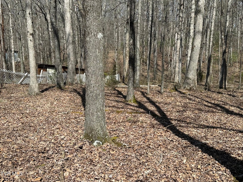 Photo #44: 6800 Allens Bridge Road