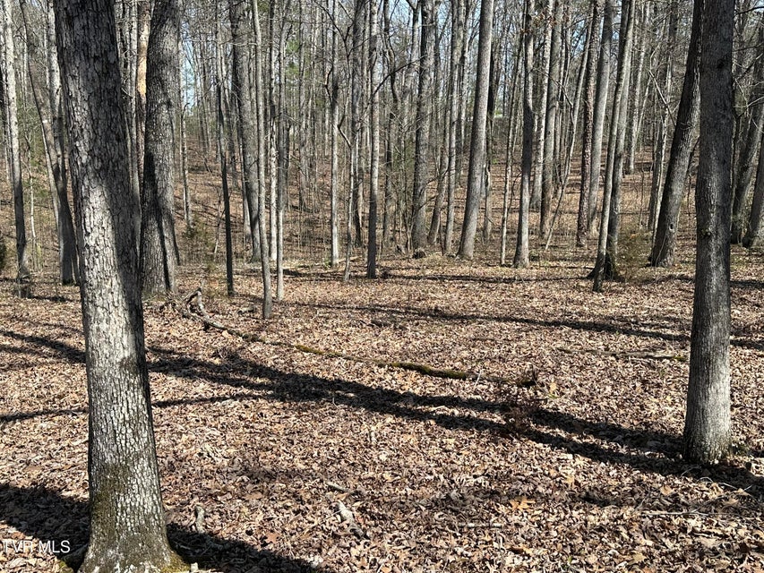 Photo #45: 6800 Allens Bridge Road