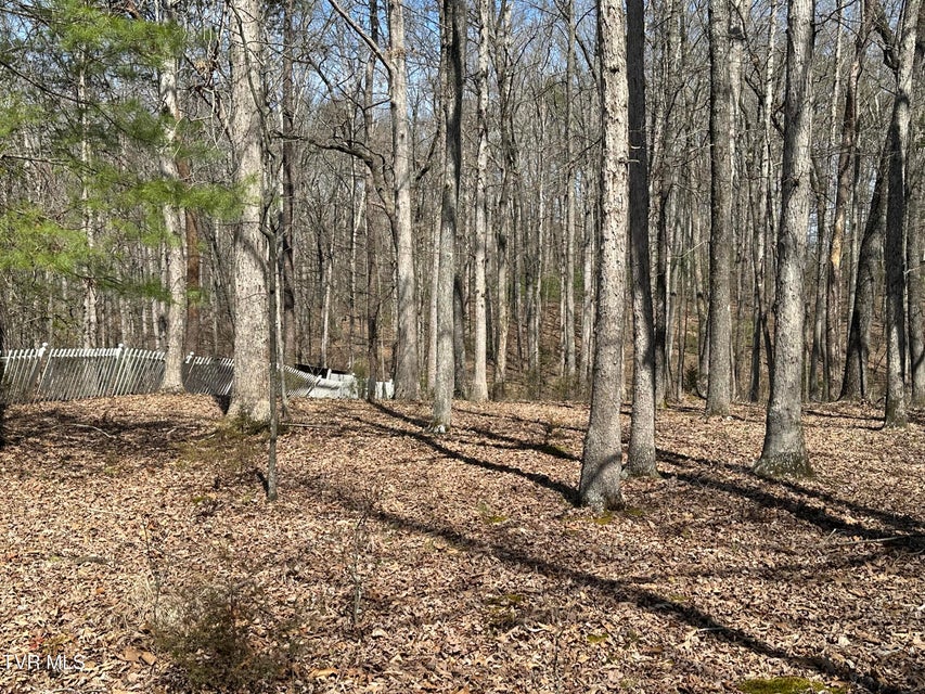 Photo #46: 6800 Allens Bridge Road