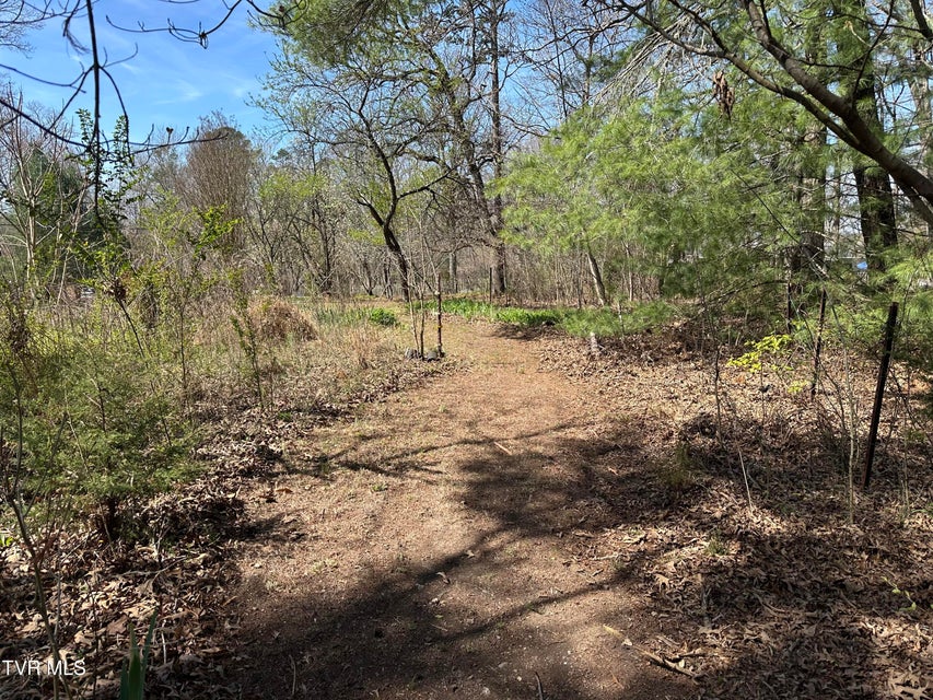 Photo #47: 6800 Allens Bridge Road