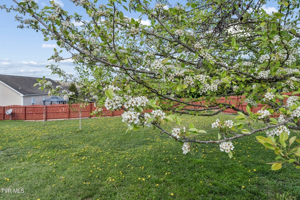 Photo #51: 401 Leesburg Road