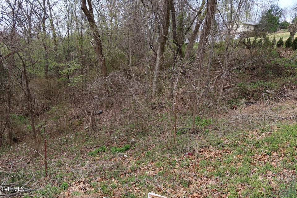 Photo #4: 410 Crystal View Street