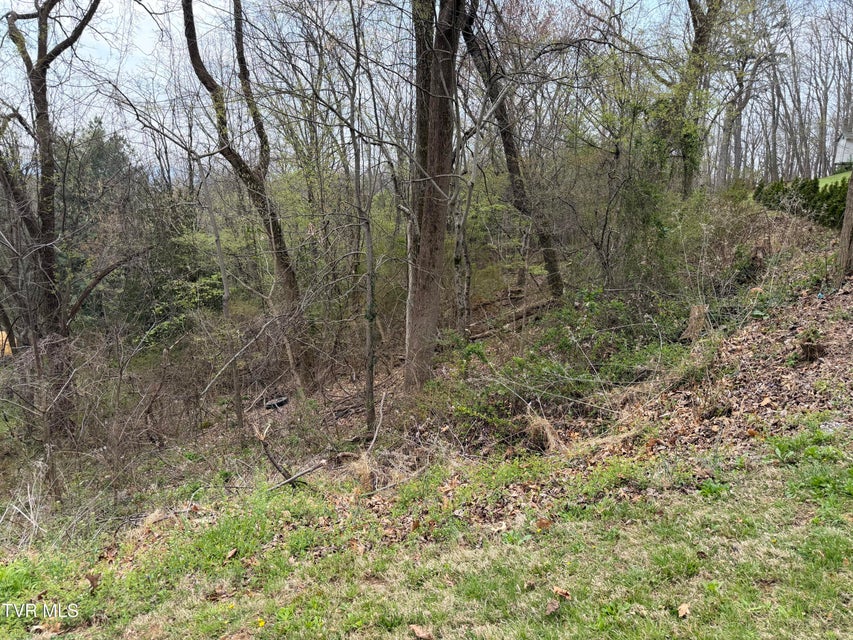 Photo #5: 410 Crystal View Street