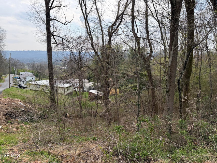 Photo #6: 410 Crystal View Street