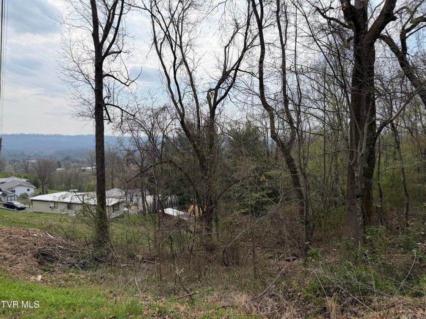 Photo #7: 410 Crystal View Street