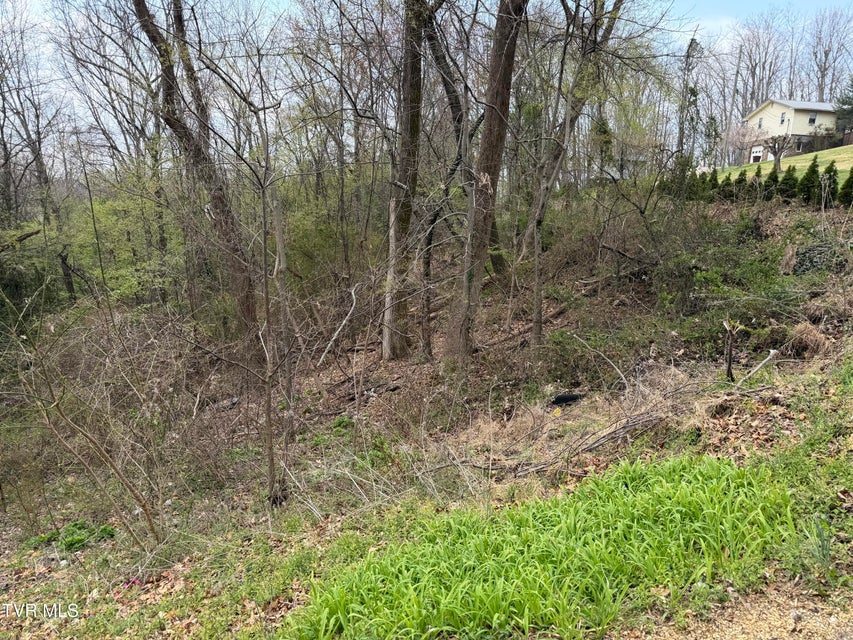 Photo #8: 410 Crystal View Street