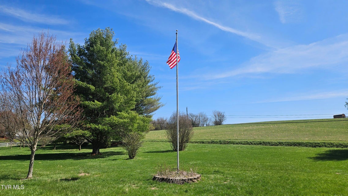 Photo #35: 381 Newt Good Road