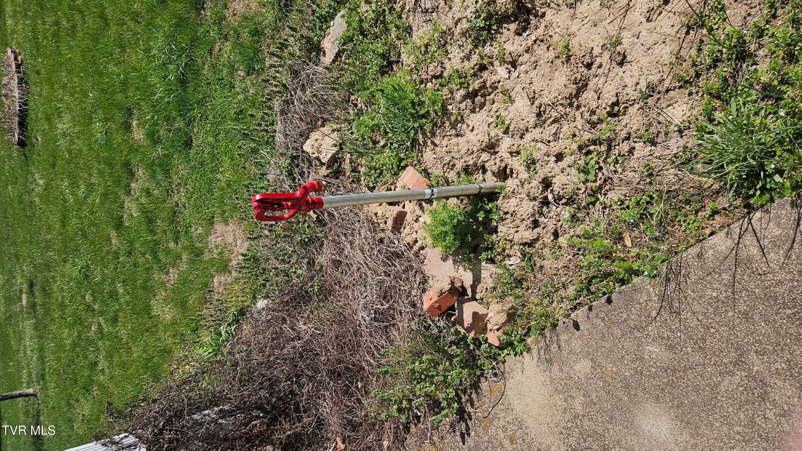 Photo #36: 381 Newt Good Road