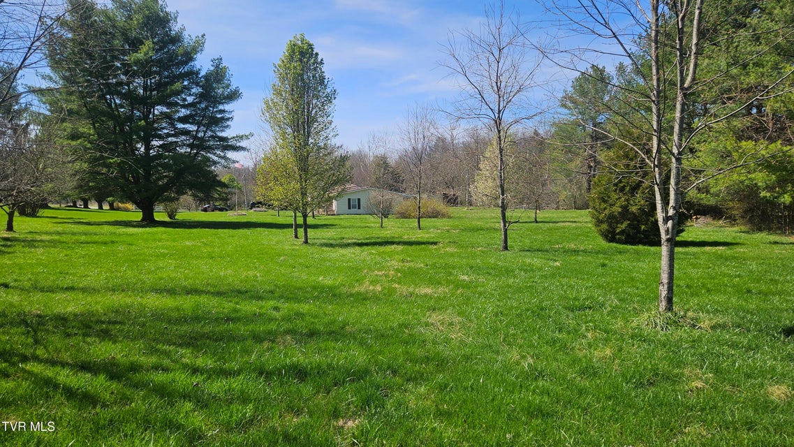 Photo #56: 381 Newt Good Road