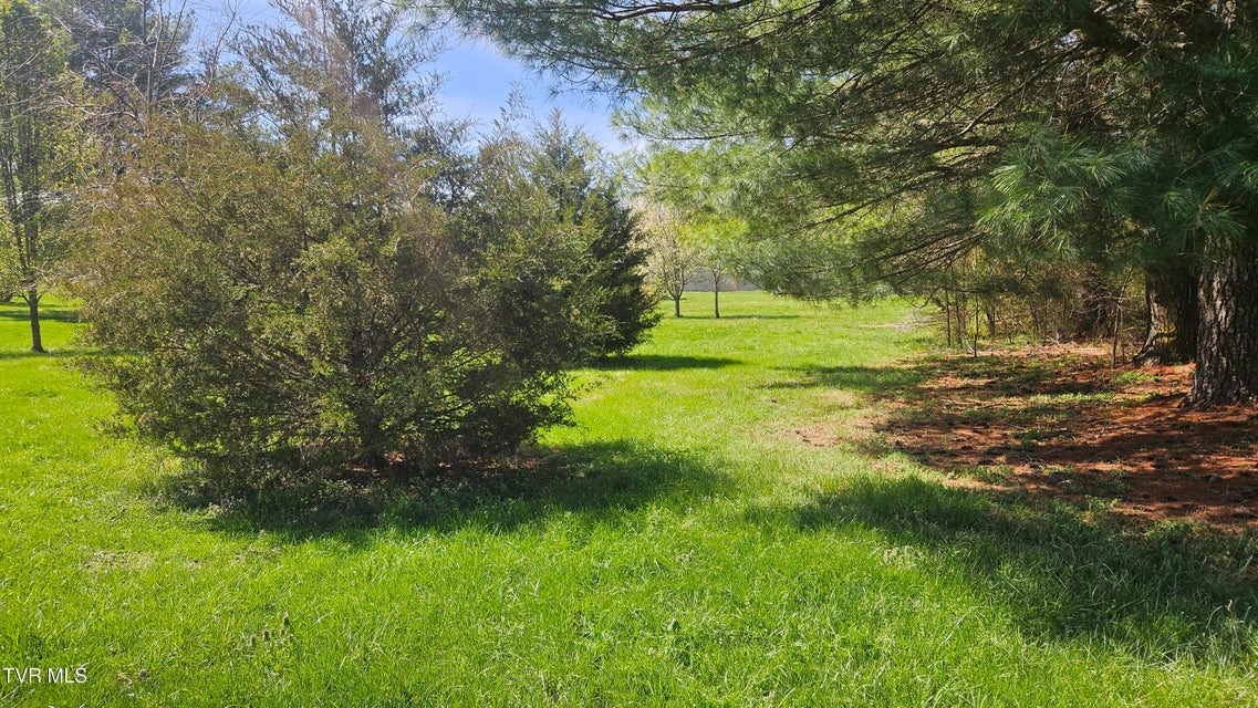 Photo #59: 381 Newt Good Road