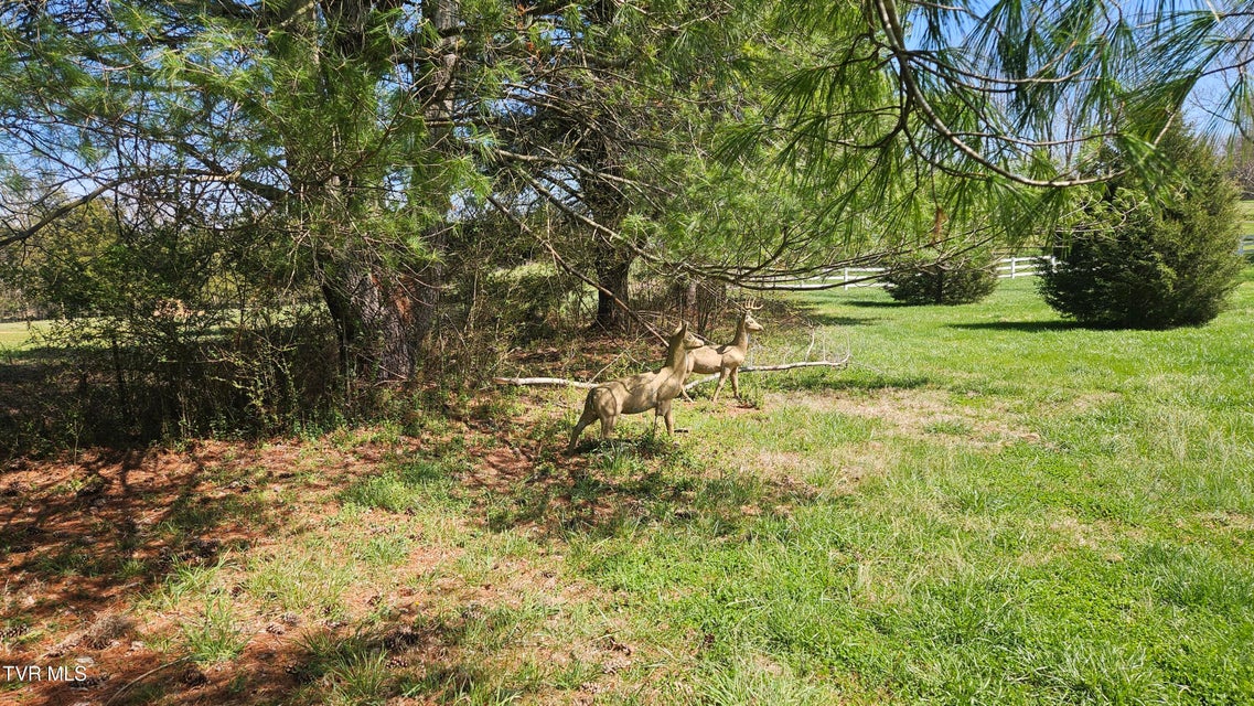 Photo #61: 381 Newt Good Road