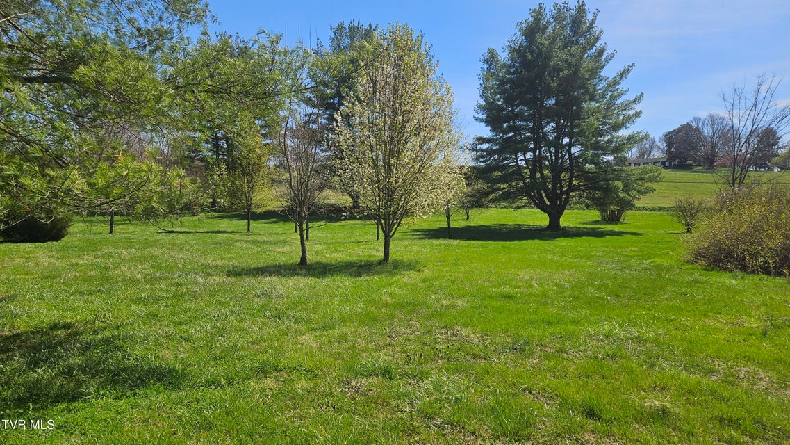 Photo #63: 381 Newt Good Road