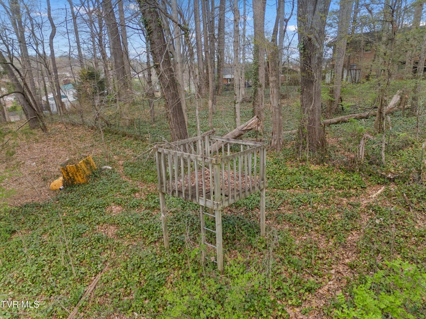 Photo #49: 1204 Rambling Court