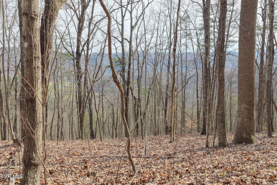 Photo #37: Tbd11 Highway 66 