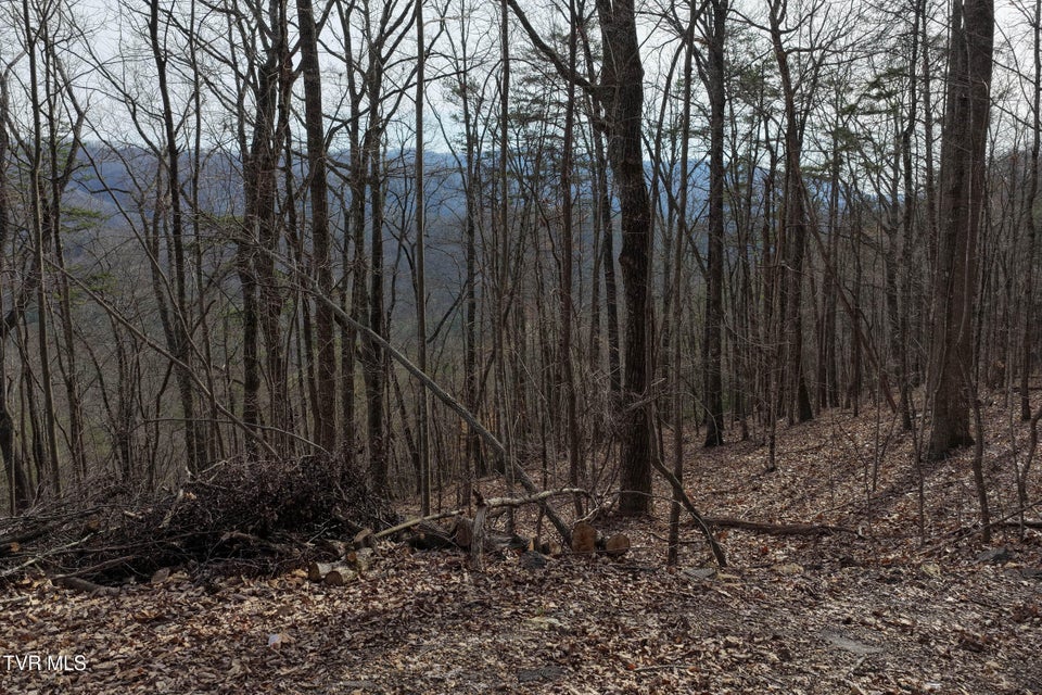 Photo #38: Tbd11 Highway 66 