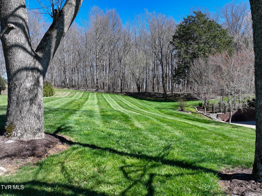 Photo #24: 177 Forest Lane