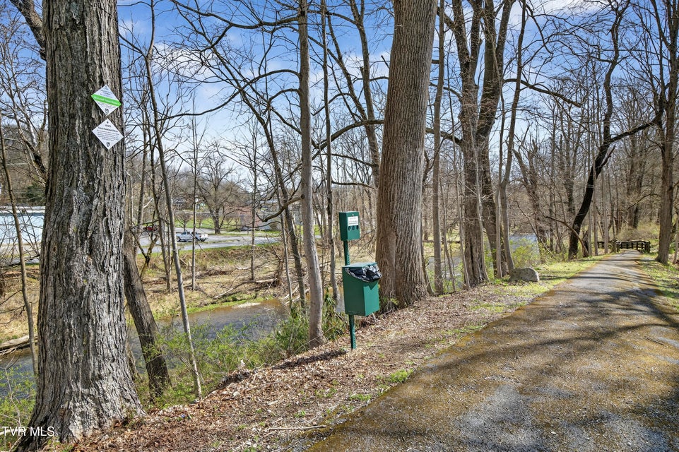 Photo #66: 142 Campbell Avenue