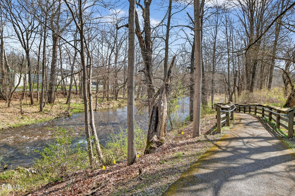 Photo #67: 142 Campbell Avenue